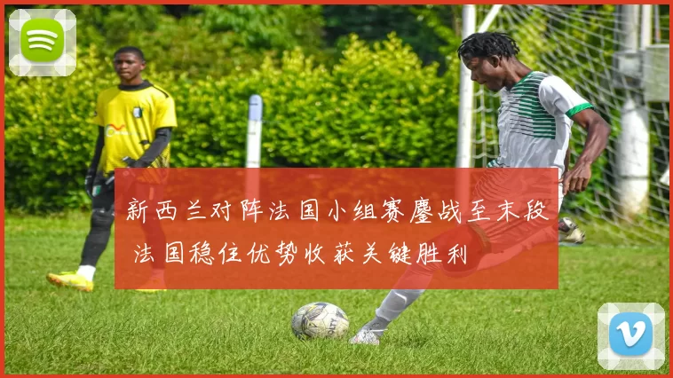 新西兰对阵法国小组赛鏖战至末段 法国稳住优势收获关键胜利