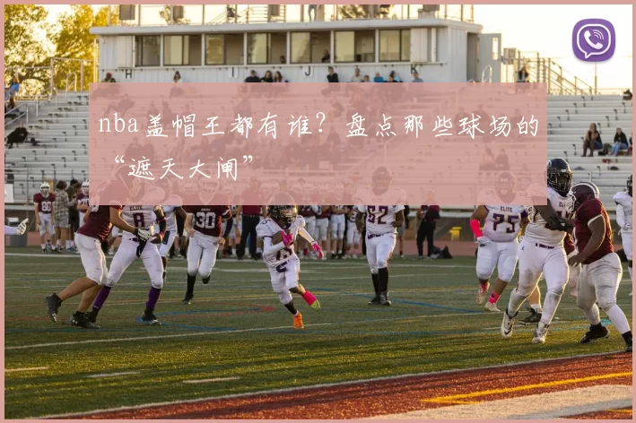 nba盖帽王都有谁？盘点那些球场的“遮天大闸”